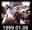 1999.01.06