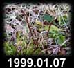 1999.01.07