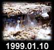 1999.01.10