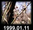 1999.01.11