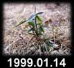 1999.01.14