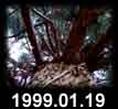 1999.01.19