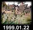 1999.01.22