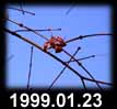 1999.01.23