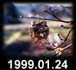 1999..01.24