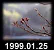 1999.01.25
