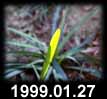 1999.01.27