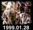 1999.01.28