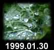 1999.01.31