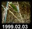 1999.02.03