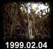 1999.02.04