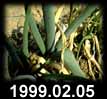 1999.02.05