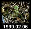 1999.02.06