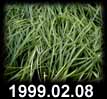 1999.02.08