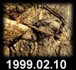 1999.02.10