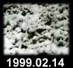 1999.02.14