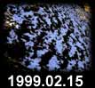 1999.02.15