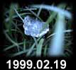 1999.02.19