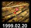 1999.02.20