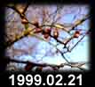 1999.02.21