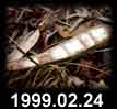 1999.02.24