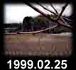 1999.02.25