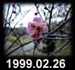 1999.02.26