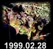 1999.02.28