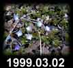 1999.03.02
