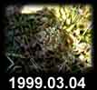 1999.03.04