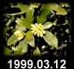 1999.03.12