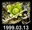 1999.03.13