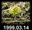 1999.03.14