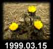 1999.03.15