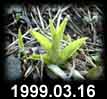 1999.03.16