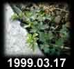 1999.03.17
