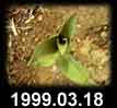 1999.03.18