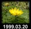 1999.03.20