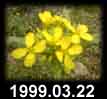 1999.03.22