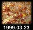 1999.03.23