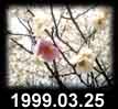 1999.03.25