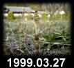 1999.03.27