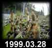 1999.03.28