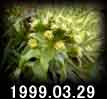 1999.03.29