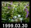 1999.03.30