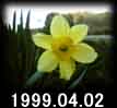 1999.04.02