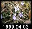 1999.04.03