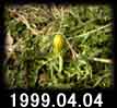 1999.04.04