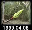 1999.04.08