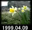 1999.04.09